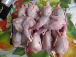 گوشت بلدرچین - تصویر 8
