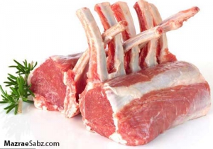 گوش