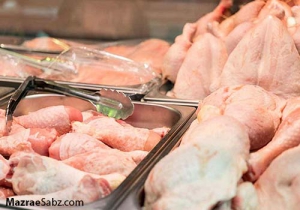 آزادی قیمت مرغ به درخواست مرغداران