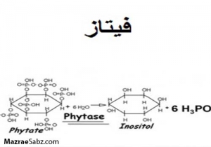 فیتاز ، خنثی کننده تاثیرات کاهش اسید آمنه
