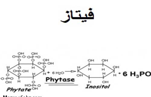 فیتاز ، خنثی کننده تاثیرات کاهش اسید آمنه