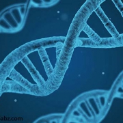 انتخاب ژنتیک متوازن ، آینده پرورش طیور
