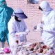 توصیه های پیشگیری آنفولانزای حاد پرندگان