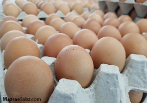 تعادل در قیمت تخم مرغ