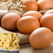 صادرات تخم مرغ به کشور های همسایه