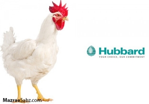 هوبارد ، کاهش اشتباهات انتخاب ژنتیکی