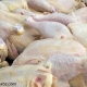 جریمه برای امتناع عرضه مرغ