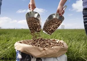 طرح ملی خوراک آماده