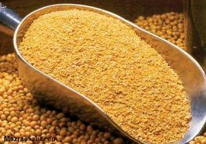 4 برابر اختلاف کنجاله با مصوب