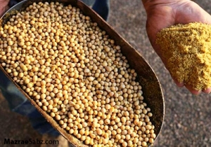 پاسخ جهاد درباره بازار سیاه نهاده