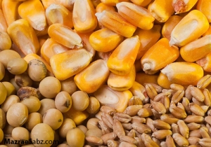 افزایش جهانی خوراک دام