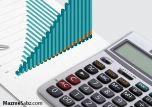 کمترین ارزش افزوده در صنعت مرغ