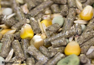 قطع سهم نهاده مرغداری ها