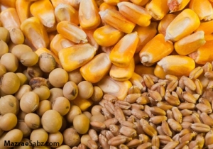 مسئولیت ثبت نهاده با جهاد