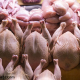 تامین ذخایر استراتژیک با مرغ وارداتی