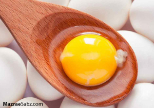تخم مرغ زیر قیمت مصوب