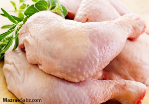 مسئولین و خواب خرگوشی