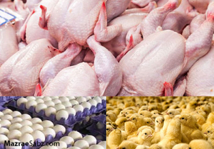واردات برای تنظیم بازار