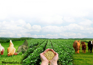ذخیره نهاده برای 3 ماه