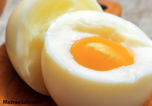 تخم مرغ از نگاهی ویژه تر
