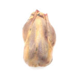 گوشت قرقاول