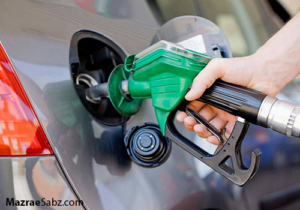 رابطه قطعی بنزین و کمیابی مرغ