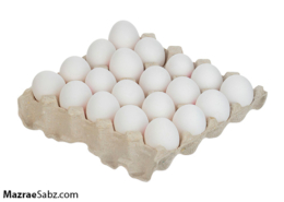 بهینه سازی تخم مرغ ( قسمت اول )