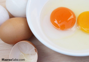 رابطه زرده با سلامت تخم مرغ