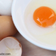 رابطه زرده با سلامت تخم مرغ