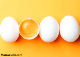 نکات کیفیت پوسته تخم مرغ ( قسمت اول )