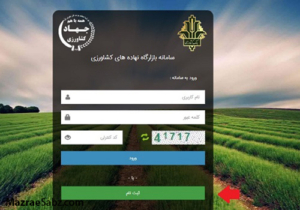 اختلال سامانه بازارگاه علت وقفه