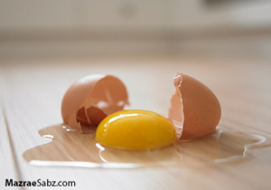 ممنوعیت واردات مرغ و تخم مرغ به عراق