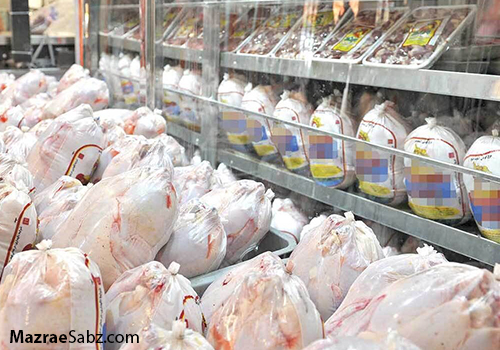کاهش واردات مرغ