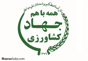 عدم تغییر قیمت کالاهای اساسی