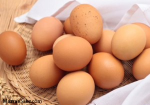 تولید مازاد تخم مرغ در خراسان