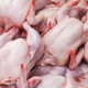 صادرات مرغ بدون عوارض