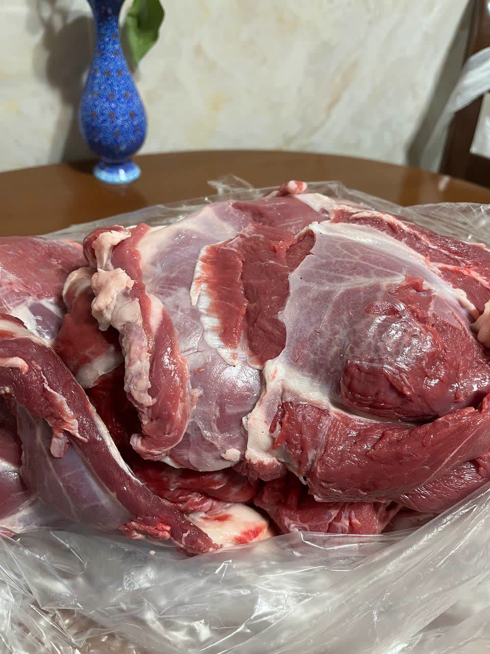 photo24613113272 چنجه گوشت شترمرغ ( با سس کیوی ) - تصویر 1