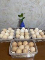 سبد پروتئینی مخصوص خانواده 1 - تصویر 4