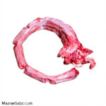 گردن شترمرغ ( یک و نیم کیلویی ) - تصویر 3